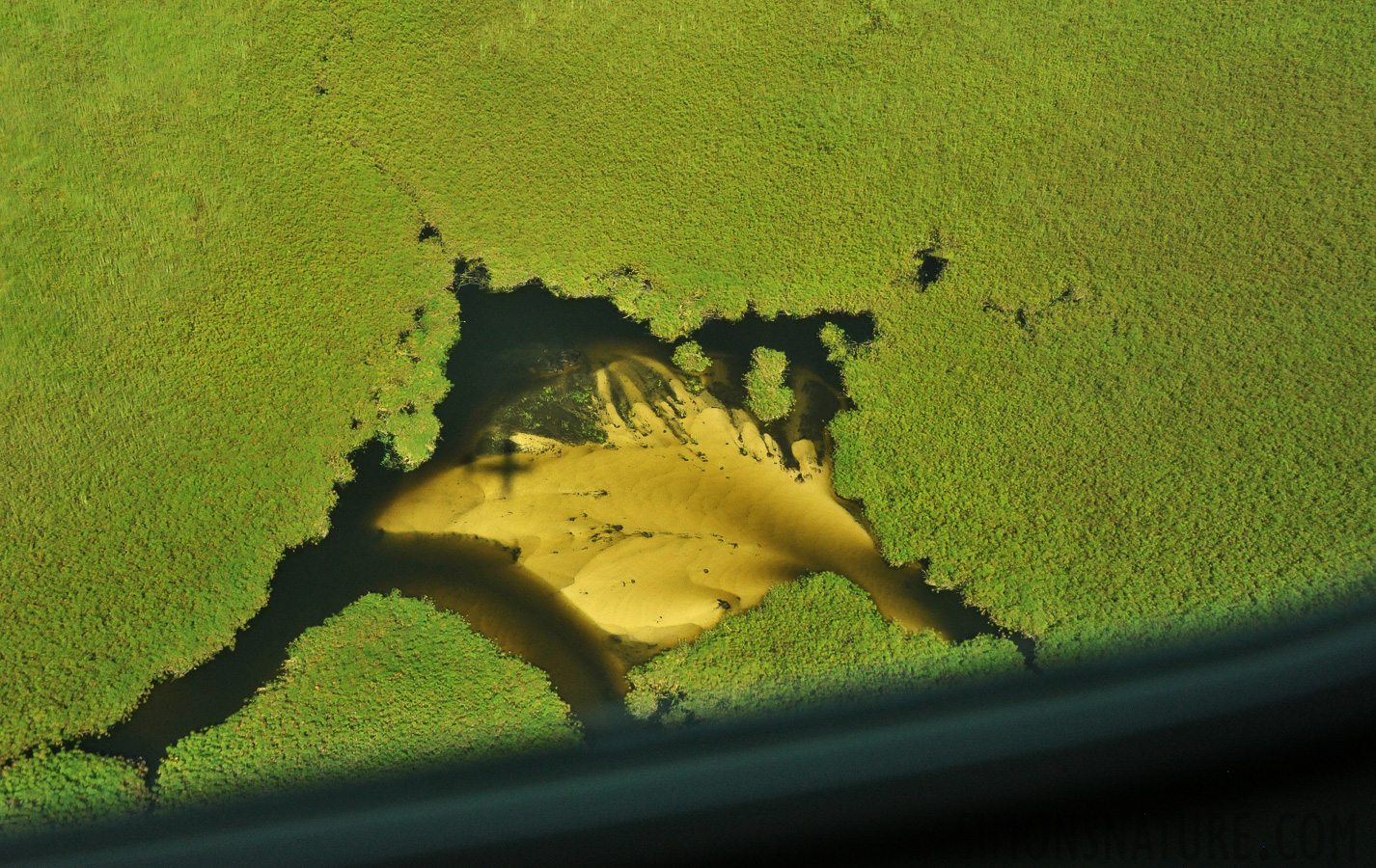 Okavango Delta May 2014 [44 mm, 1/3200 sec at f / 8.0, ISO 2500]